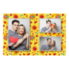 413-3-PHH-191-Kissing_Day-195