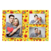 413-3-PHH-191-Kissing_Day-195T