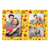 413-3-PHH-BR-Kissing_Day-195
