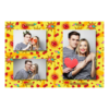 414-3-HHP-BR-Kissing_Day-195T