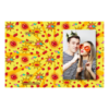 416-1-P-BR-Kissing_Day-195T