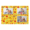 419-3-HHH-255-Kissing_Day-195