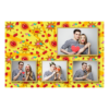 425-4-HKKK-146-Kissing_Day-195