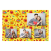 425-4-HKKK-BR-Kissing_Day-195