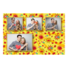 427-4-KKKH-146-Kissing_Day-195