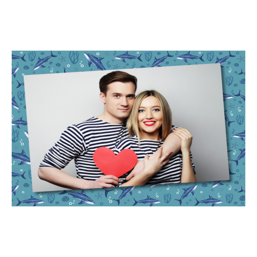 605-1-H-BR-Shark_Day-121