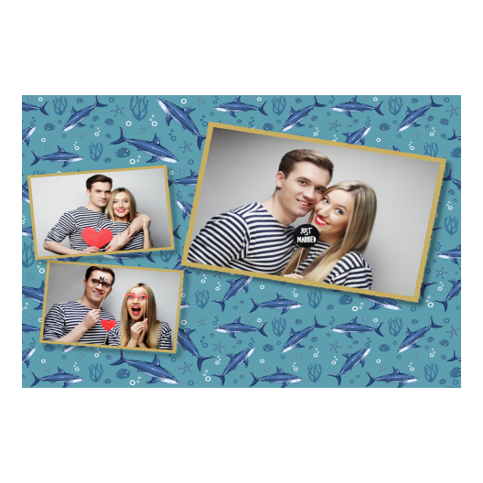 606-3-HHH-146-Shark_Day-121