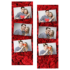102-3-HHH-BR-Red_Rose_Day-144