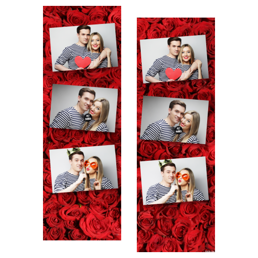 102-3-HHH-BR-Red_Rose_Day-144