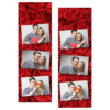 103-3-HHH-BR-Red_Rose_Day-144