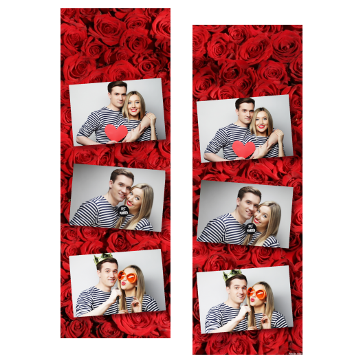 103-3-HHH-BR-Red_Rose_Day-144