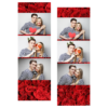 104-3-HHH-BR-Red_Rose_Day-144