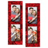106-2-PP-BR-Red_Rose_Day-144