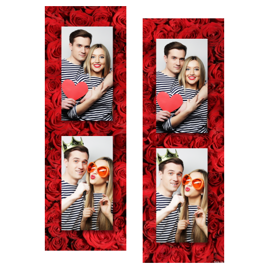 106-2-PP-BR-Red_Rose_Day-144