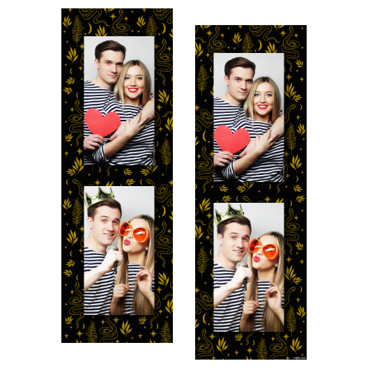 106-2-PP-BR-Snake_Day-015