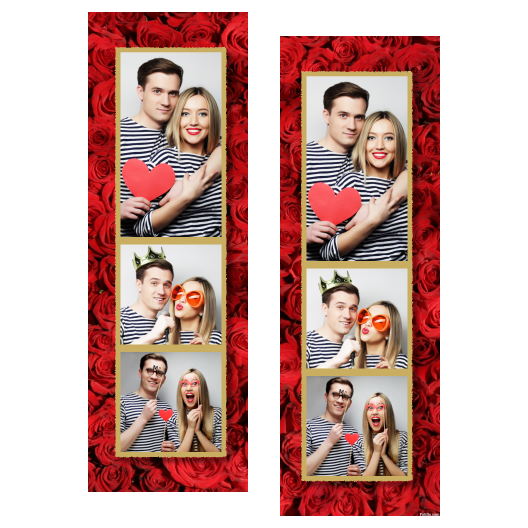 107-3-PKK-146-Red_Rose_Day-144