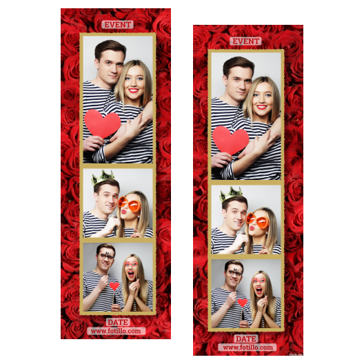 107-3-PKK-146-Red_Rose_Day-144T