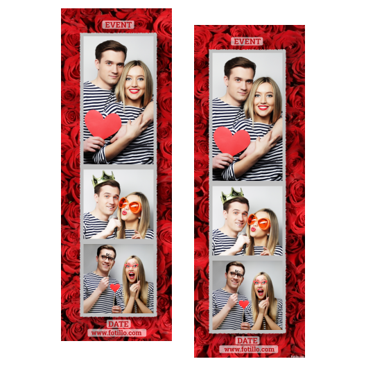 107-3-PKK-191-Red_Rose_Day-144T