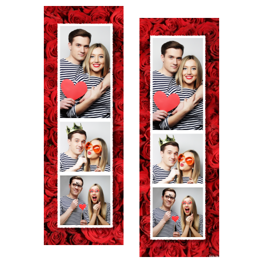107-3-PKK-255-Red_Rose_Day-144