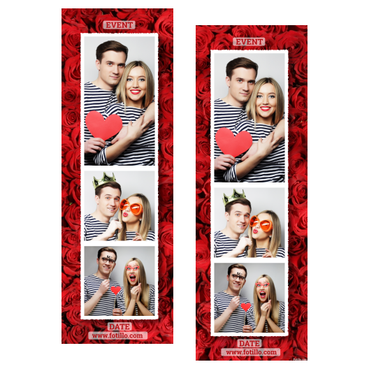 107-3-PKK-255-Red_Rose_Day-144T