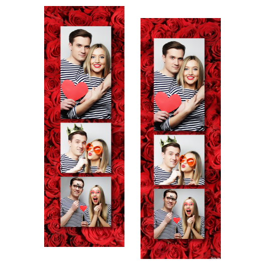 107-3-PKK-BR-Red_Rose_Day-144