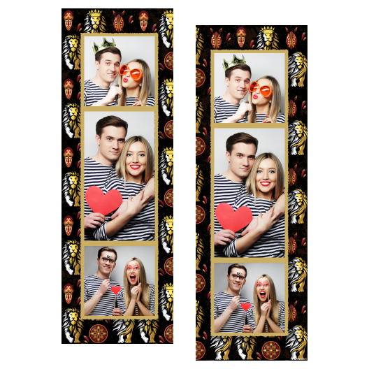 108-3-KPK-146-Lion_Day-015