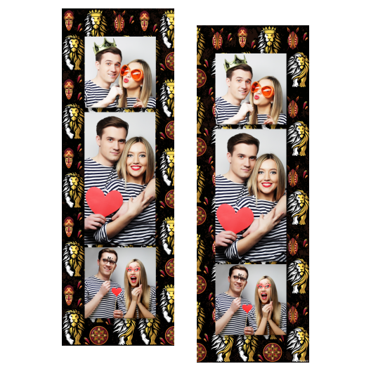 108-3-KPK-BR-Lion_Day-015