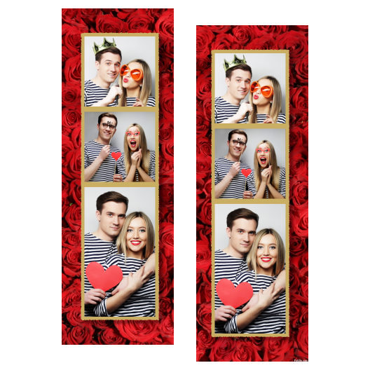 109-3-KKP-146-Red_Rose_Day-144