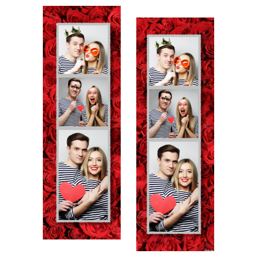 109-3-KKP-191-Red_Rose_Day-144