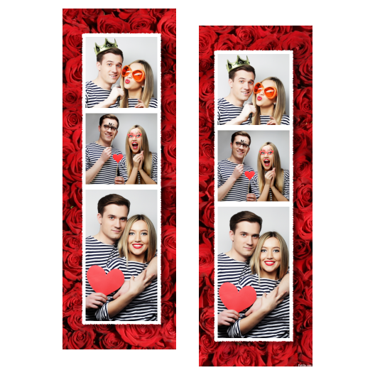 109-3-KKP-255-Red_Rose_Day-144