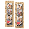 109-3-KKP-BR-Dog_Day-050T