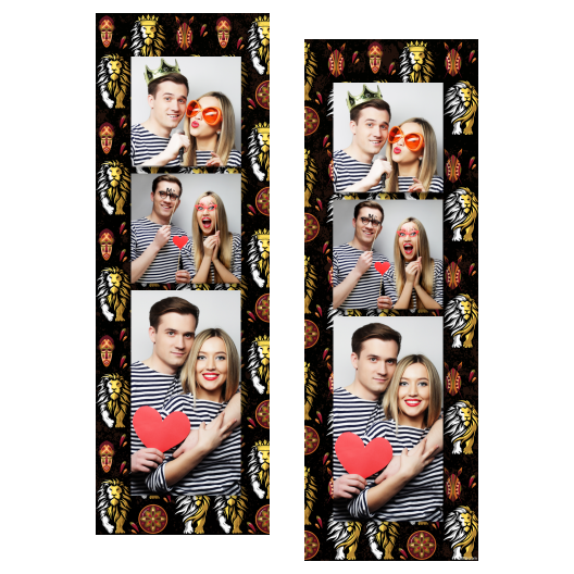 109-3-KKP-BR-Lion_Day-015