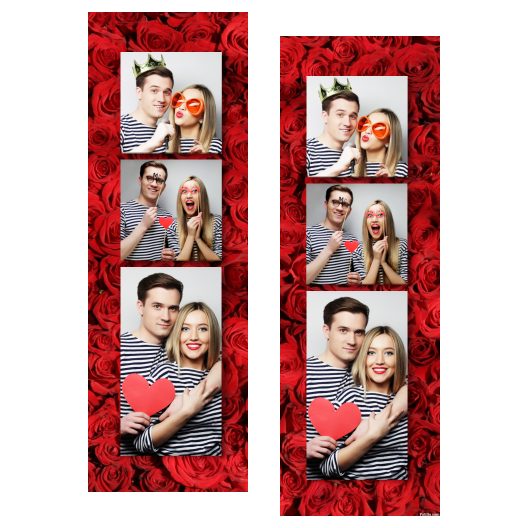 109-3-KKP-BR-Red_Rose_Day-144
