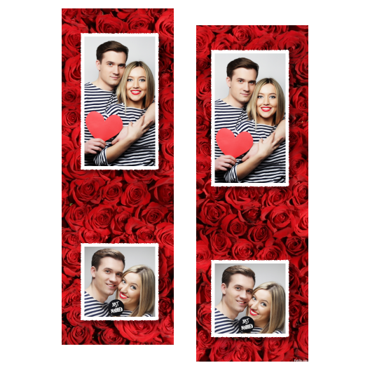 110-2-PK-255-Red_Rose_Day-144