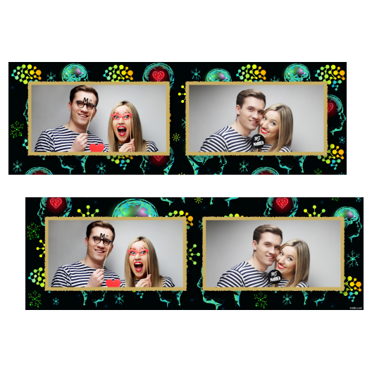 201-2-HH-146-Brain_Day-015