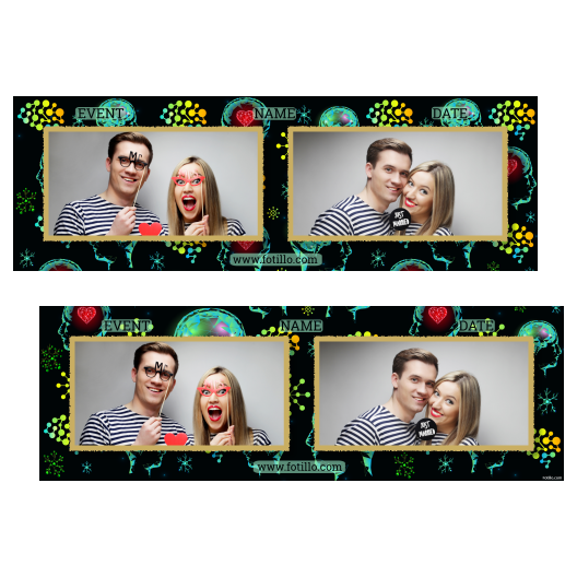 201-2-HH-146-Brain_Day-015T