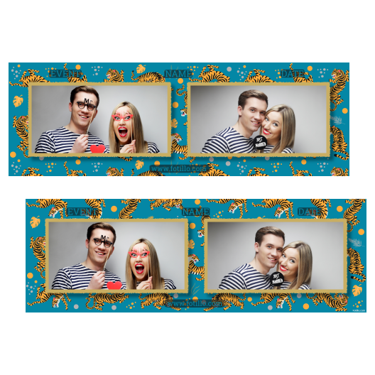 201-2-HH-146-Tiger_Day-121T