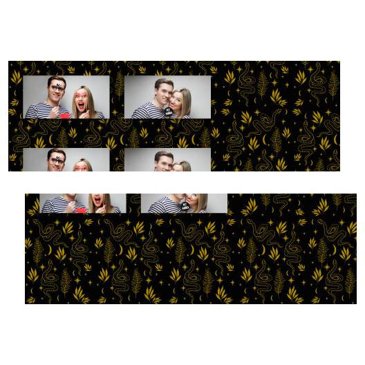 201-2-HH-BR-Snake_Day-015