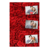 301-3-HHH-BR-Red_Rose_Day-144
