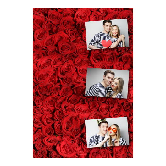301-3-HHH-BR-Red_Rose_Day-144
