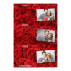 301-3-HHH-BR-Red_Rose_Day-144T