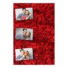 302-3-HHH-BR-Red_Rose_Day-144