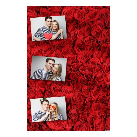 302-3-HHH-BR-Red_Rose_Day-144