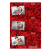 302-3-HHH-BR-Red_Rose_Day-144T