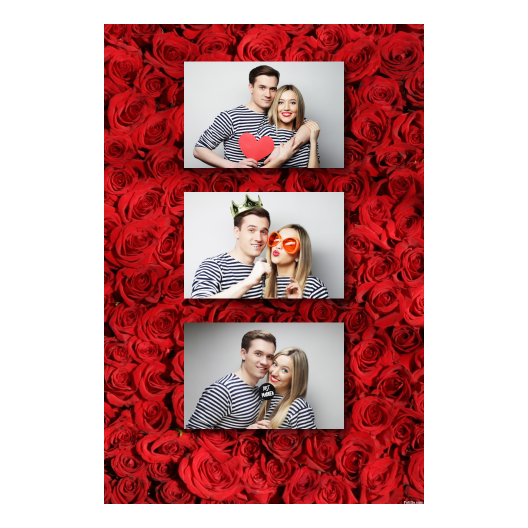 306-3-HHH-BR-Red_Rose_Day-144