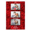 306-3-HHH-BR-Red_Rose_Day-144T