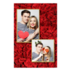 307-2-PK-146-Red_Rose_Day-144
