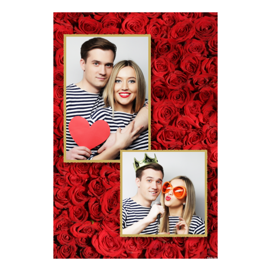 307-2-PK-146-Red_Rose_Day-144