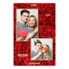 307-2-PK-146-Red_Rose_Day-144T
