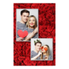 307-2-PK-191-Red_Rose_Day-144